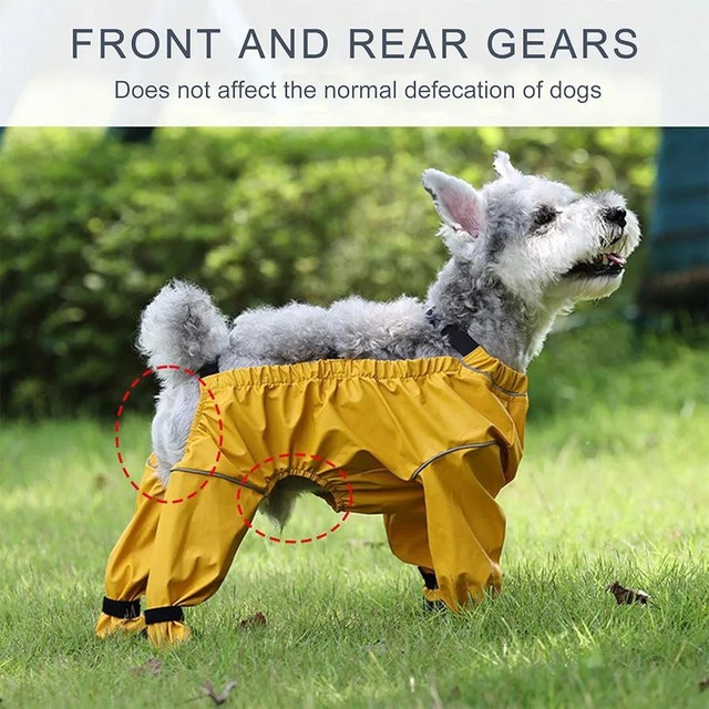 Dog Paw Boot Leggings - XS Size Available - photo 4