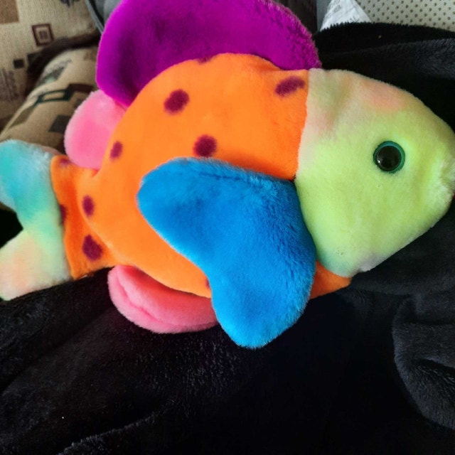 Ty Beanie Buddies