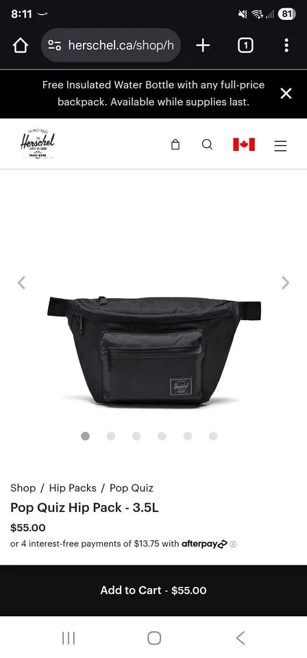 Herschel Hip Pack thumbnail