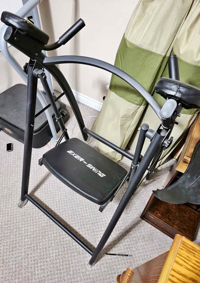Exer-Swing Ab Machine :) $30