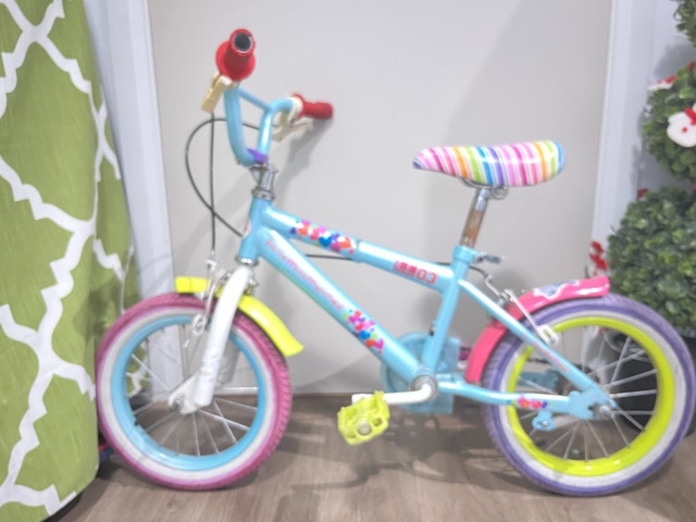 14 Inch Girl's Bicycle