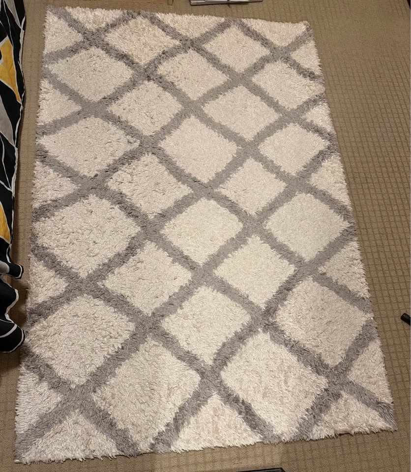 IKEA mirror, walmart rug, costco Mat. - photo 4