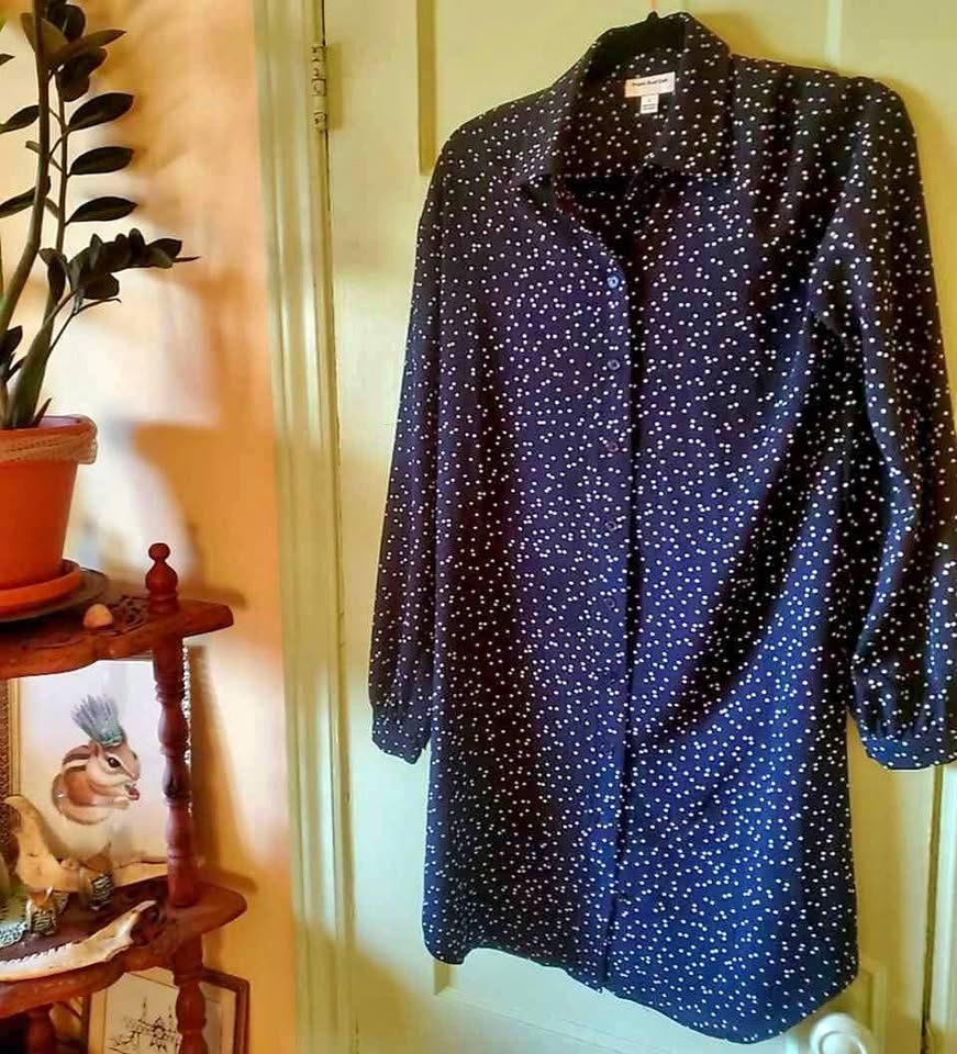 Size S Frank and Oak polka dot shirt dress