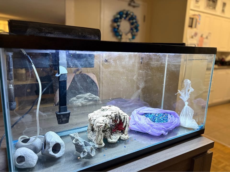 Tank sold Aquarium Setup Accessories - photo 2