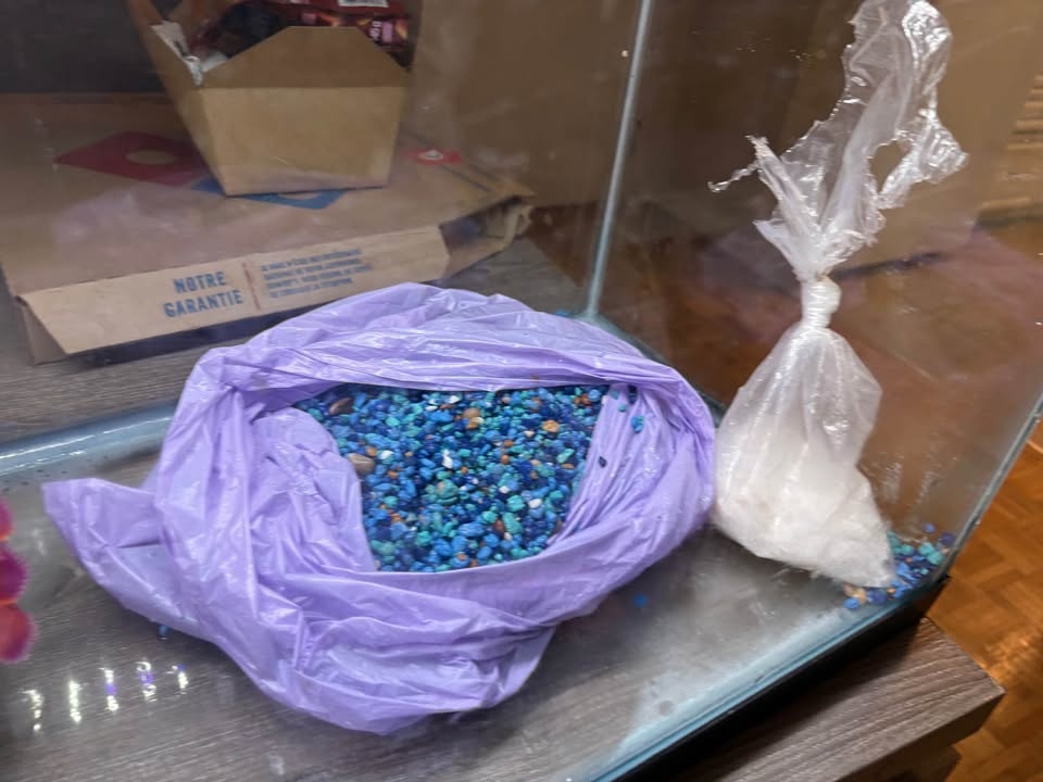 Tank sold Aquarium Setup Accessories - photo 3