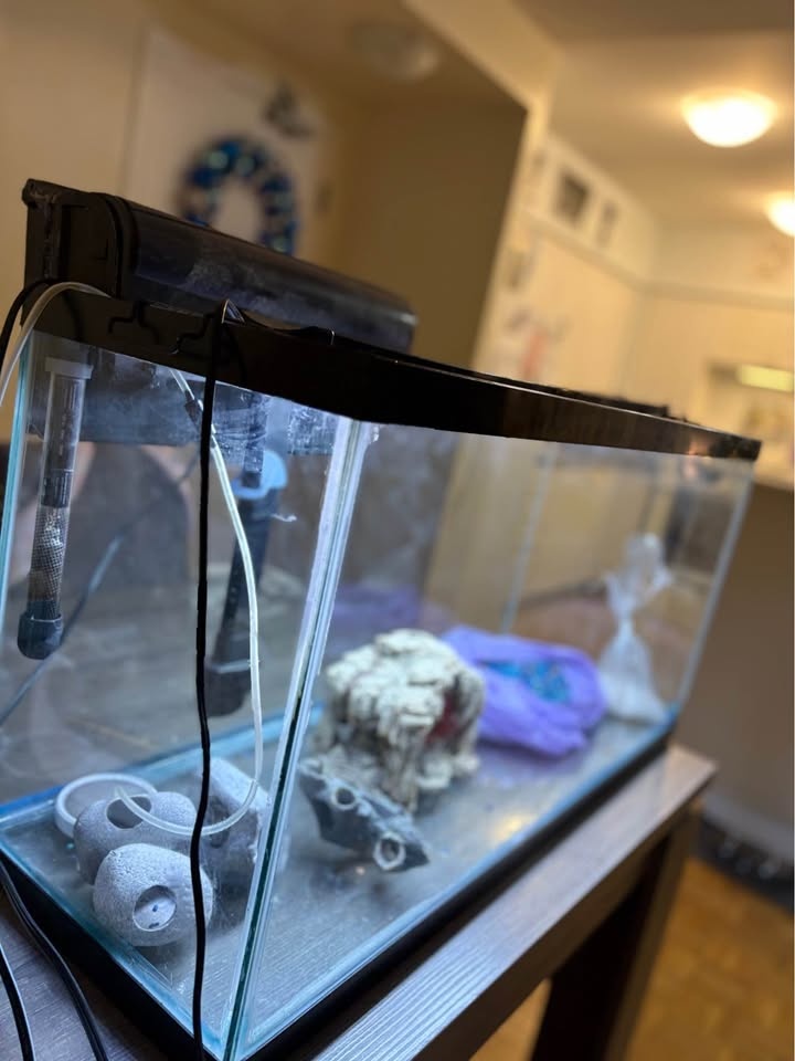 Tank sold Aquarium Setup Accessories - photo 4