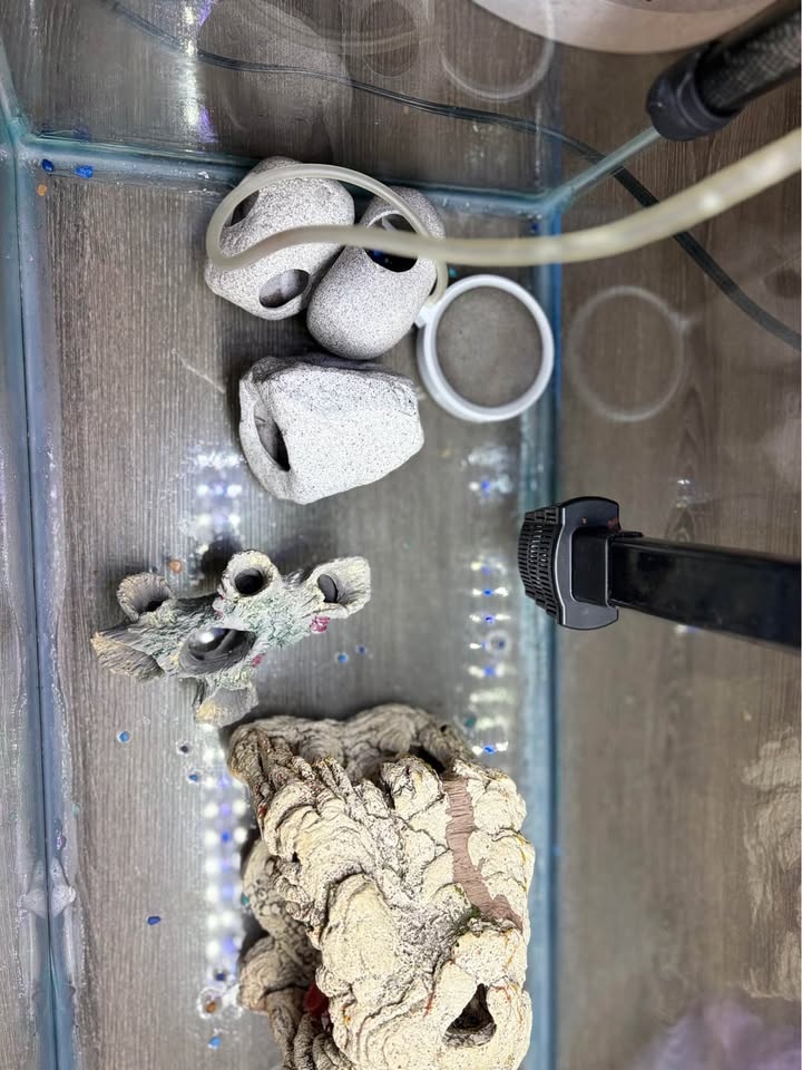 Tank sold Aquarium Setup Accessories - photo 5