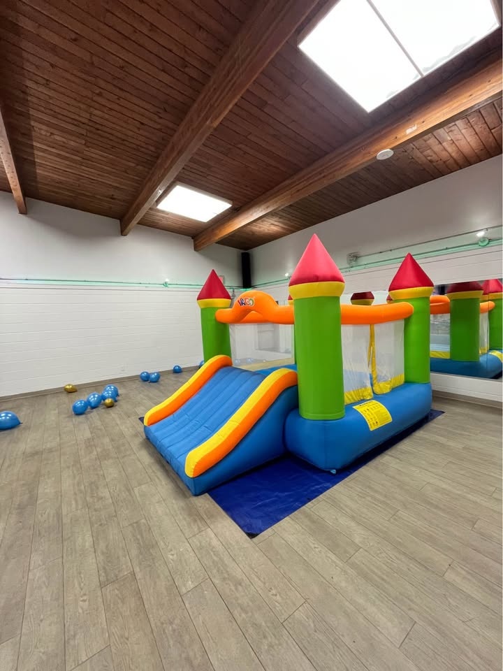 Indoor kids Party - Bouncy Castle and Games - photo 3