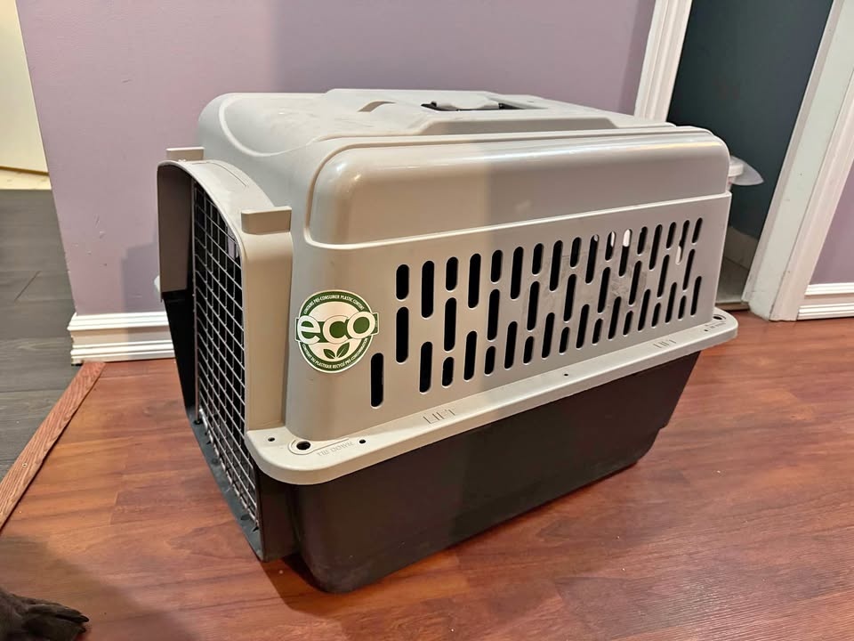 Dog Crate