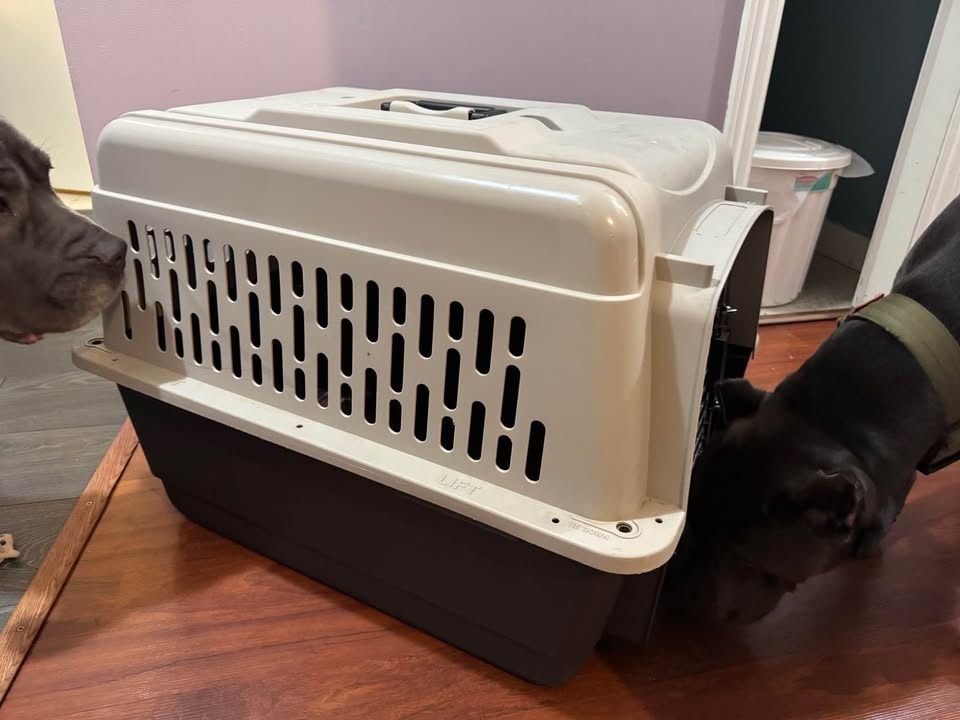 Dog Crate - photo 2