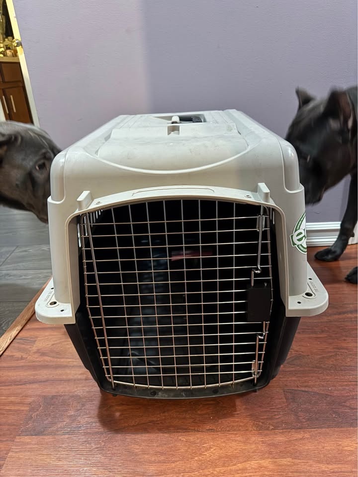 Dog Crate - photo 3