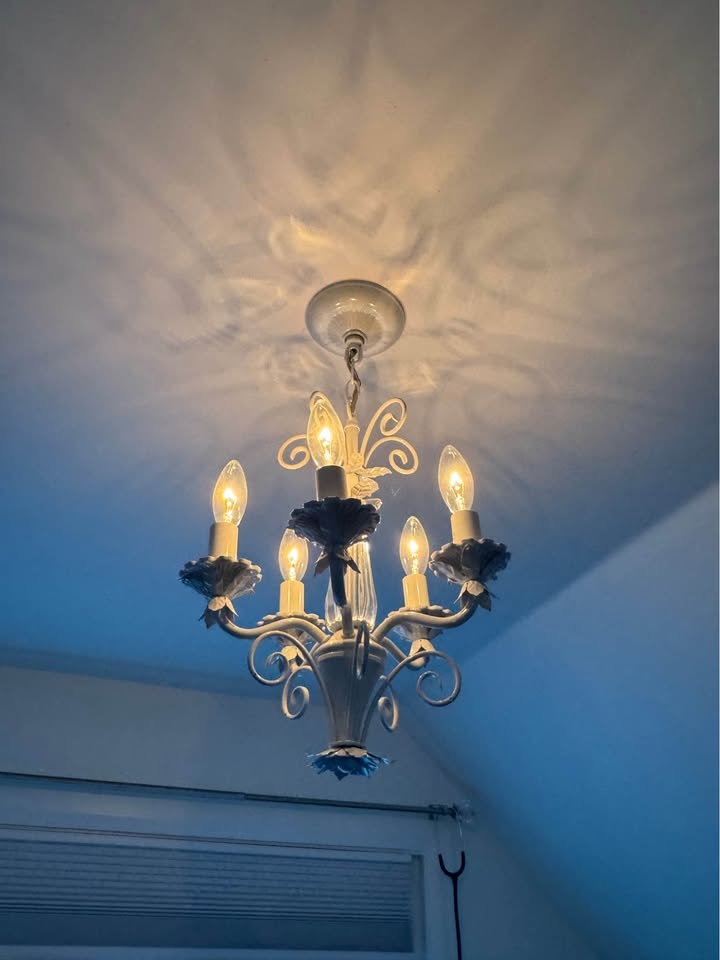 Dimmable Princess Chandelier Light Fixture - photo 3