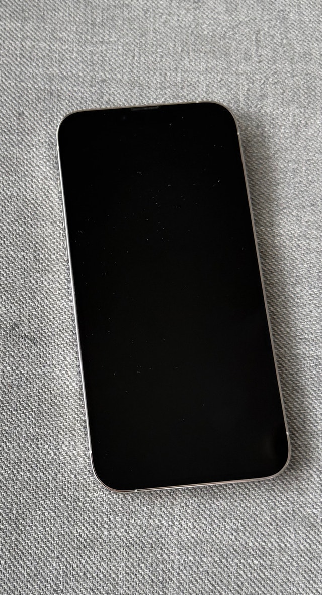 iPhone 13 Pro Max 256GB + 20 free cases! - photo 3