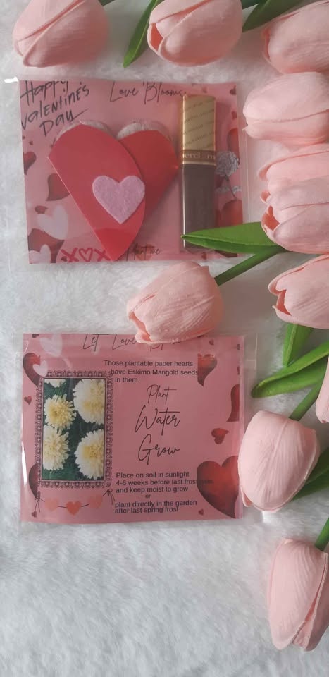 Valentine's Day small gift - 2 plantable paper hearts and tiny c - photo 3