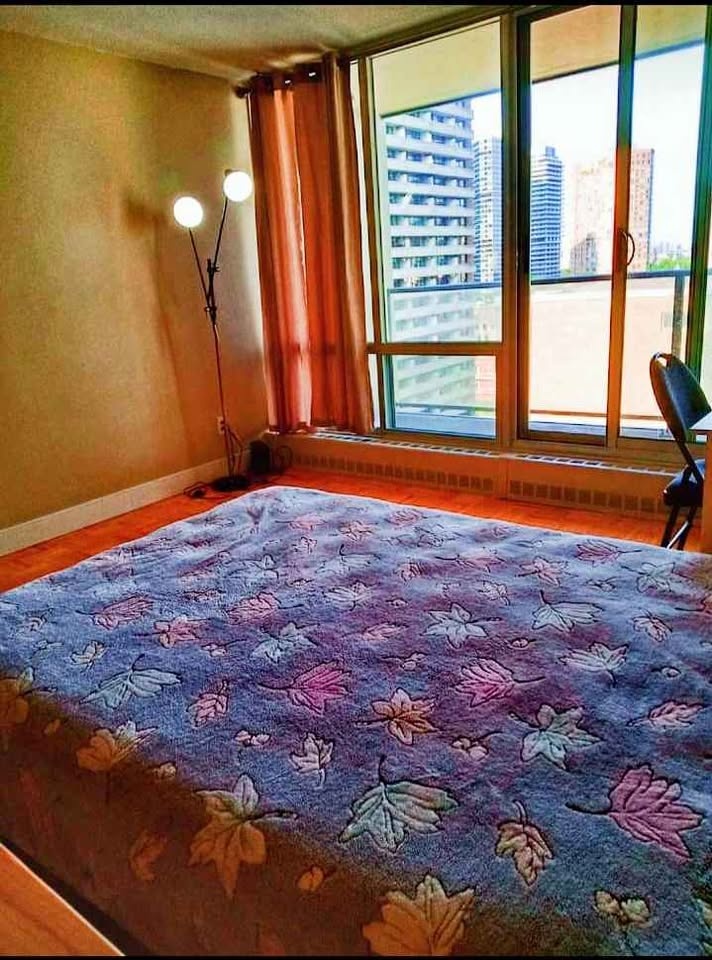 Furnished Den for Rent in Downtown Toronto - Available June 1st