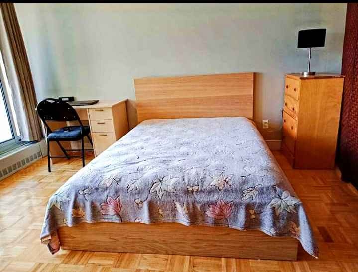 Furnished Den for Rent in Downtown Toronto - Available June 1st - photo 2