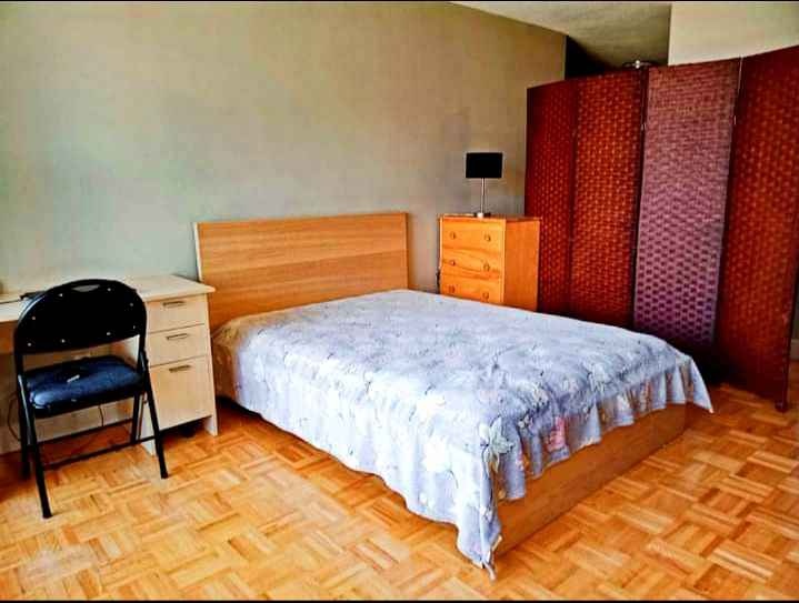 Furnished Den for Rent in Downtown Toronto - Available June 1st - photo 4