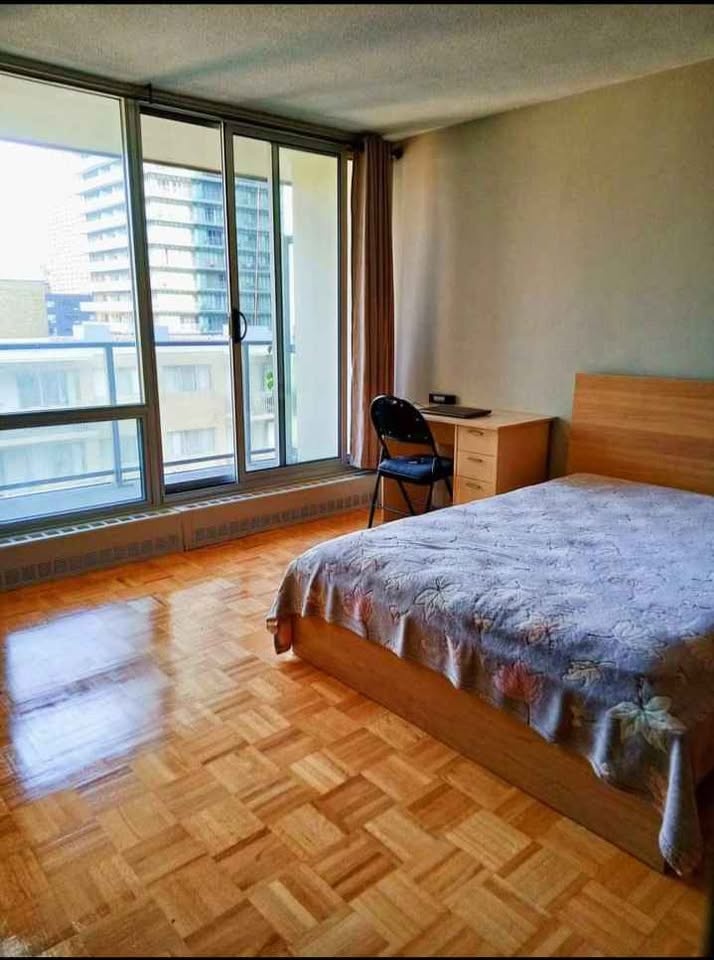 Furnished Den for Rent in Downtown Toronto - Available June 1st - photo 5