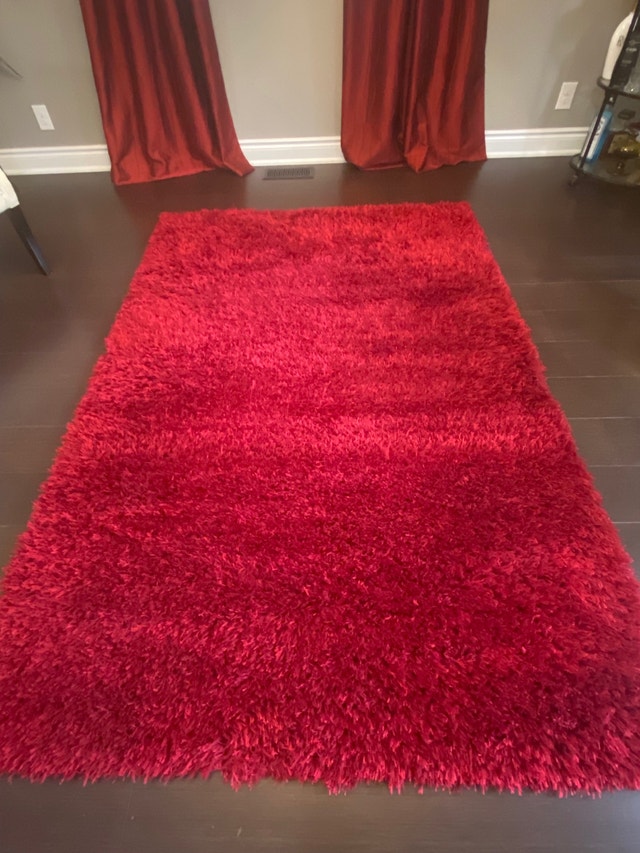 Lush accent Rug