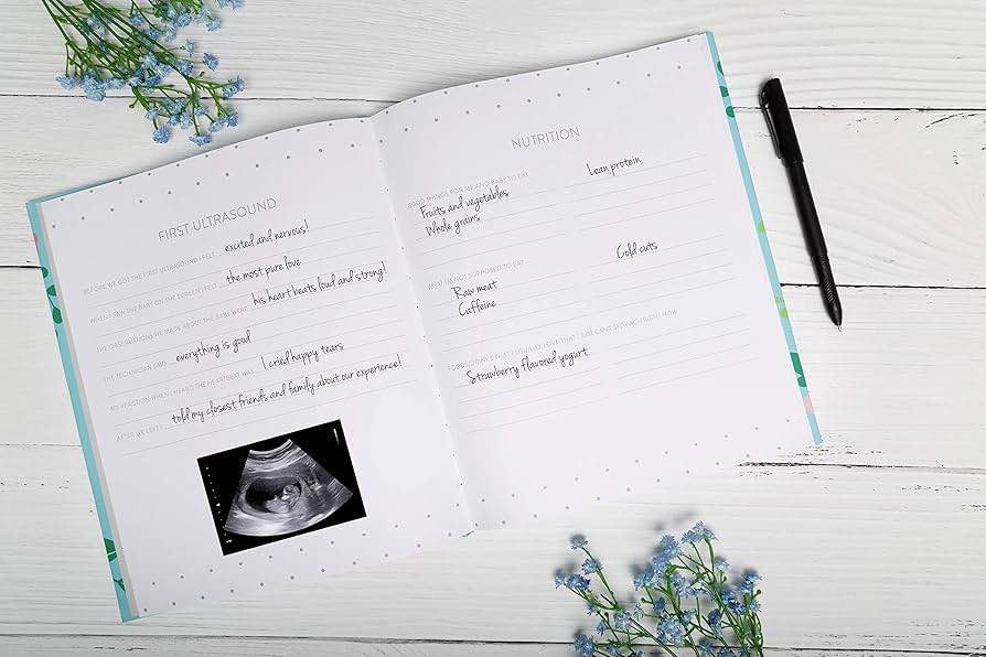 My Pregnancy Journal - photo 2