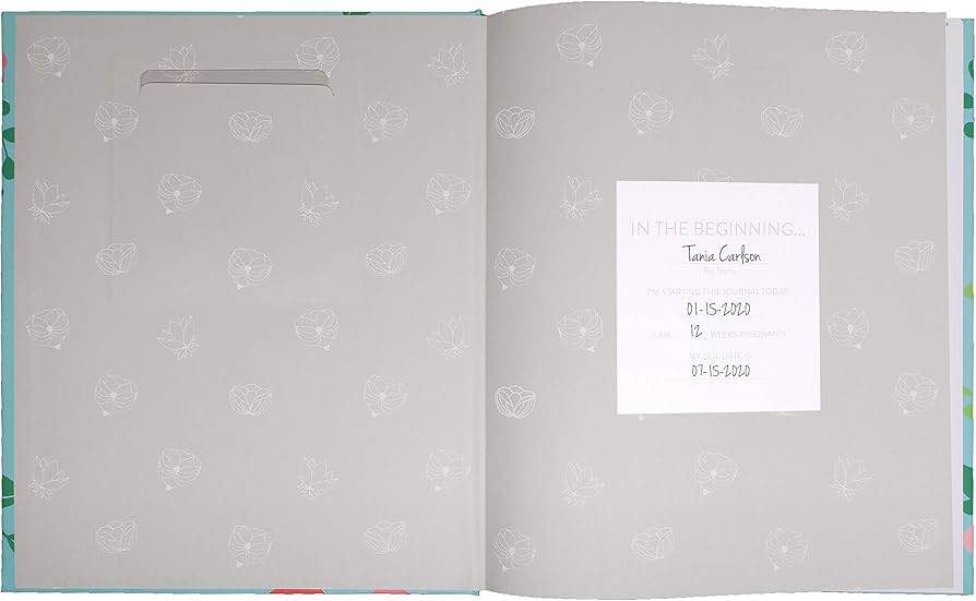 My Pregnancy Journal - photo 3