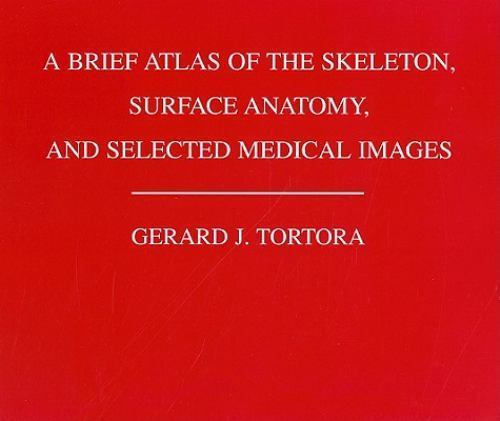 Brief Atlas of the Human Skeleton : Surface Anatomy and Selected