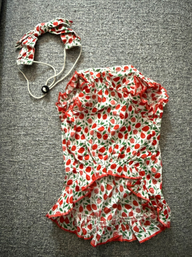 Multicolored dog outfits w/ matching headbands - photo 4