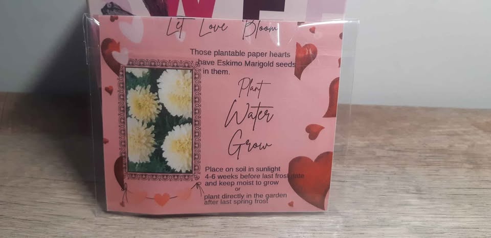 Cute Valentine's Day Gift ❤🌸❤ - photo 2