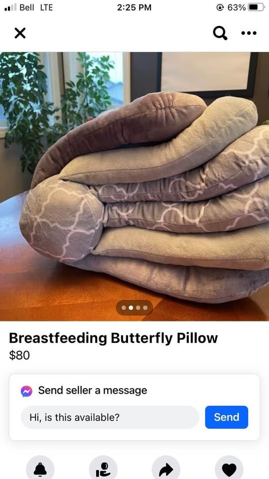 Butterfly pillow