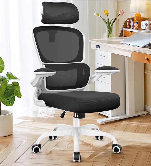 Ergonomic Office Chair with Mesh Back