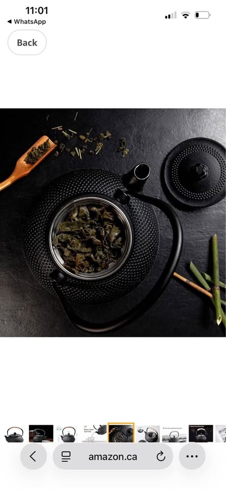 Hwagui Cast Iron Teapot - photo 5