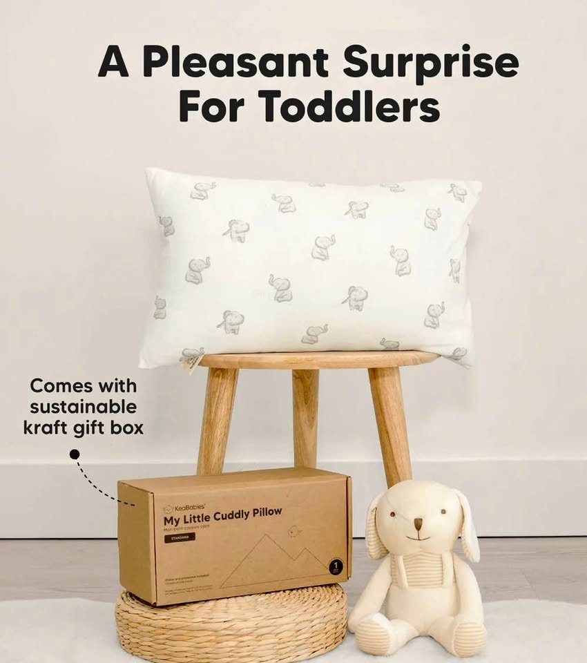 BRAND NEW CUDDLY TODDLER PILLOW WITH PILLOWCASE