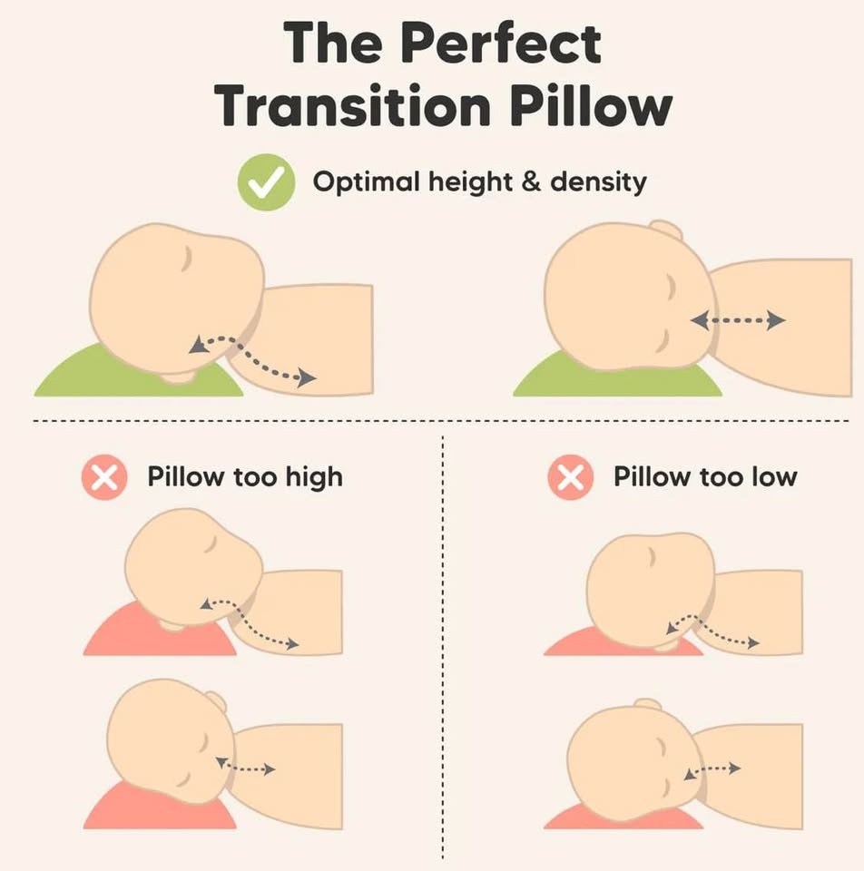 BRAND NEW CUDDLY TODDLER PILLOW WITH PILLOWCASE - photo 4