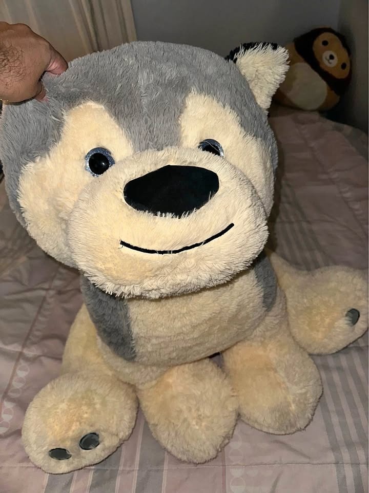 Stuffed Animal Doggy