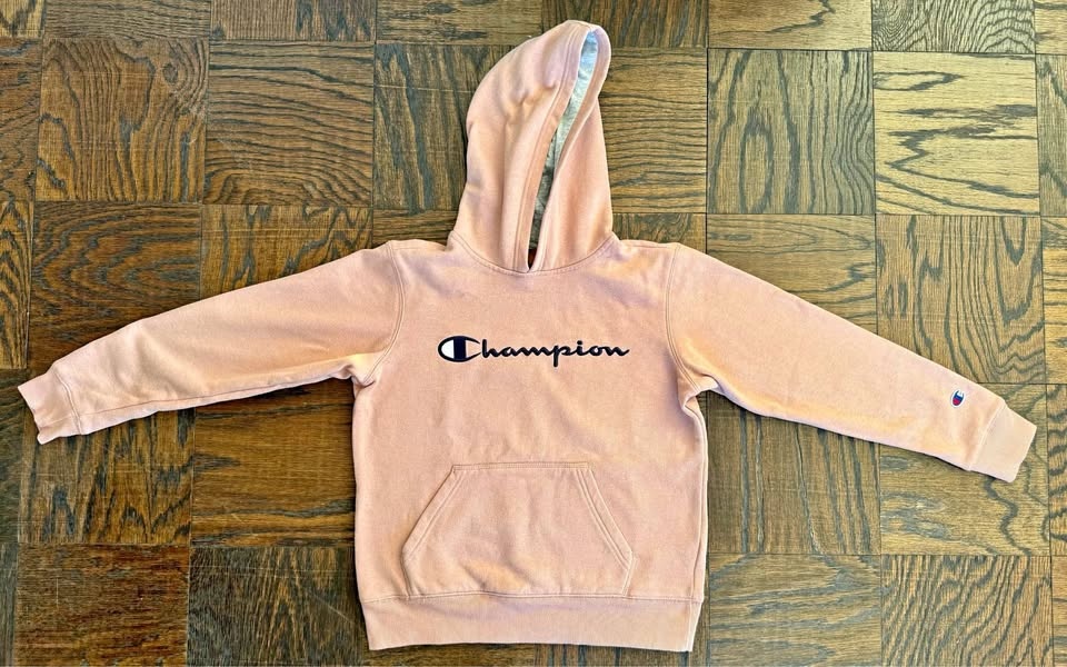 Champion Dusty Rose Hoodie - Size L