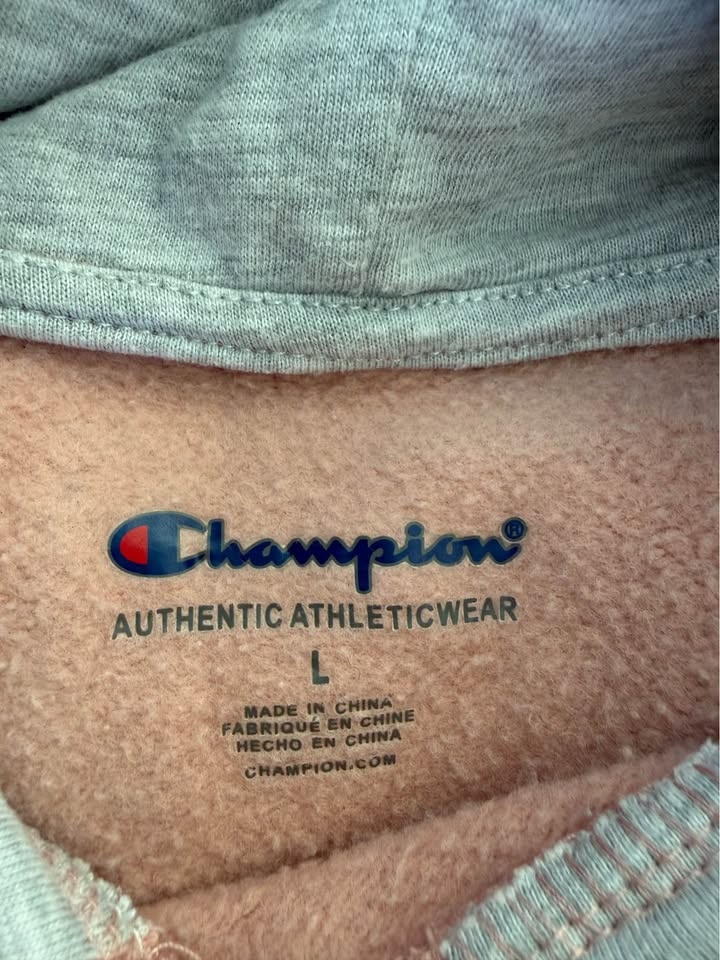 Champion Dusty Rose Hoodie - Size L - photo 5