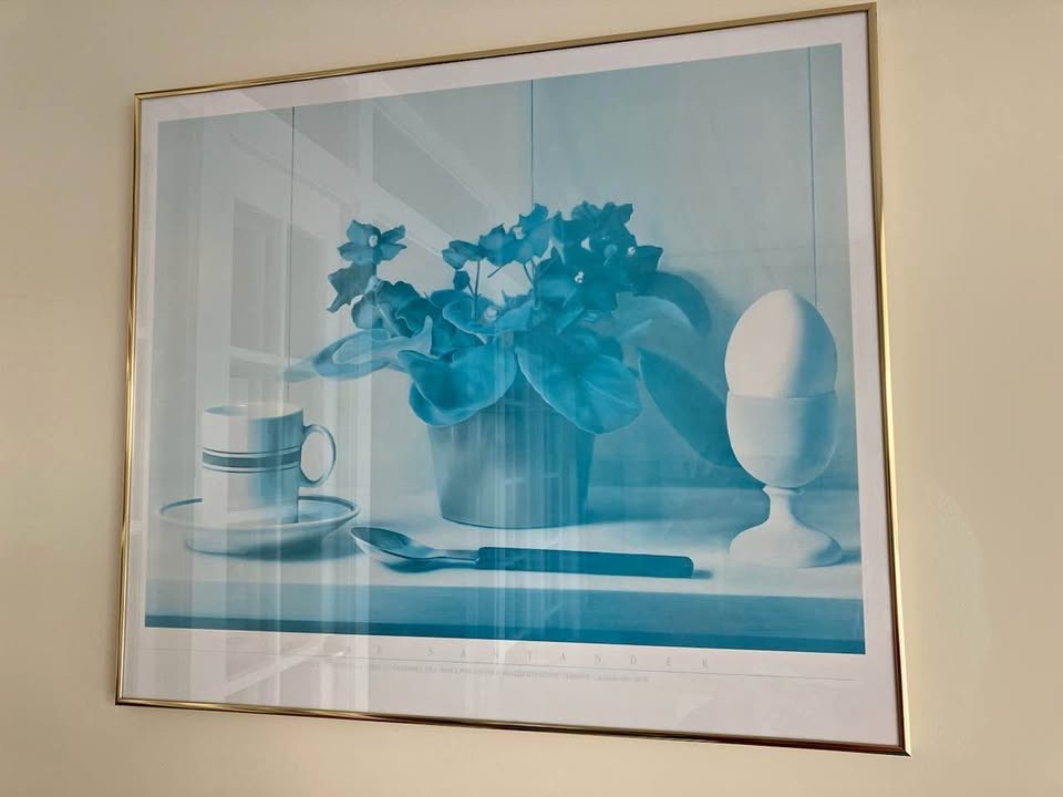 Vintage Blue Still Life Print Framed African Violets