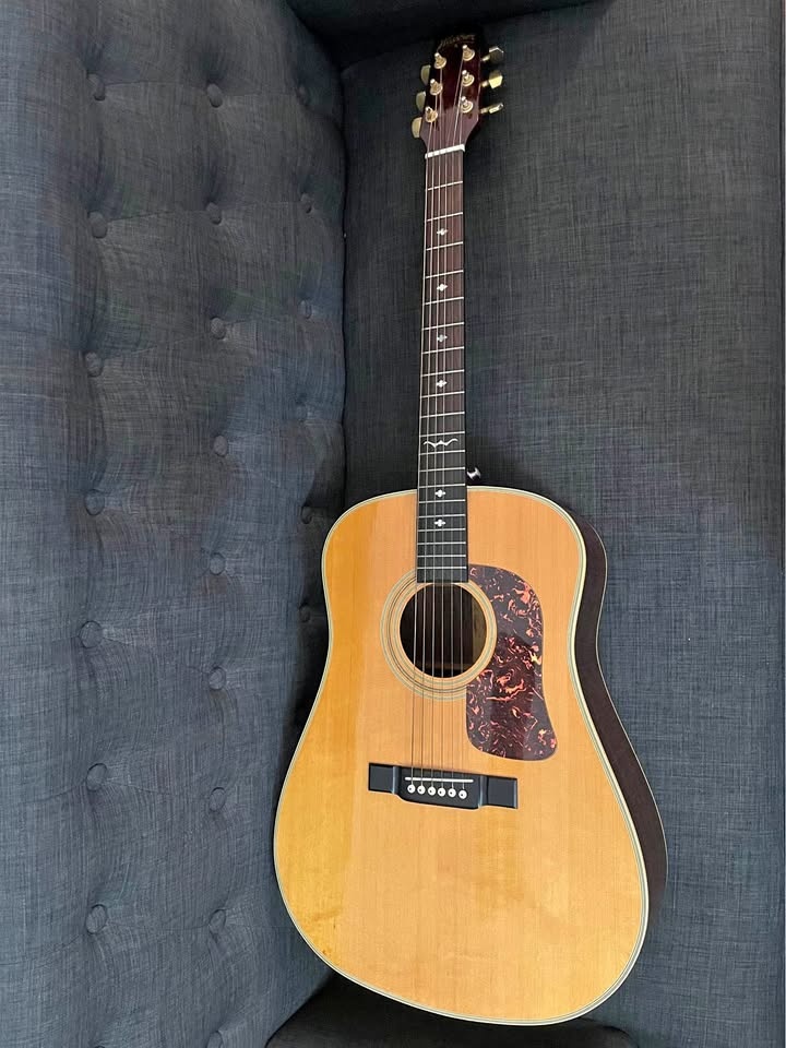Washburn D-21S Rosewood/Mahogany Acoustic Guitar