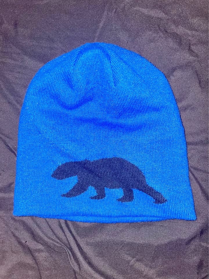 Kombi beanie