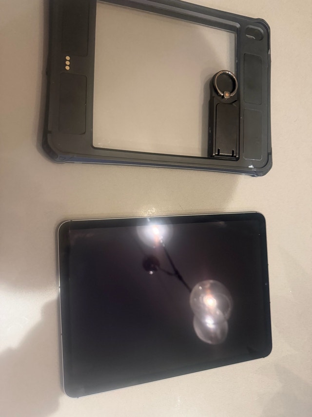 iPad Apple