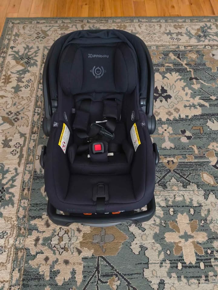 UPPAbaby Mesa V2 Infant Car Seat - photo 2