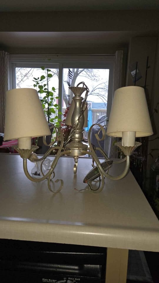 Chandelier ceiling light