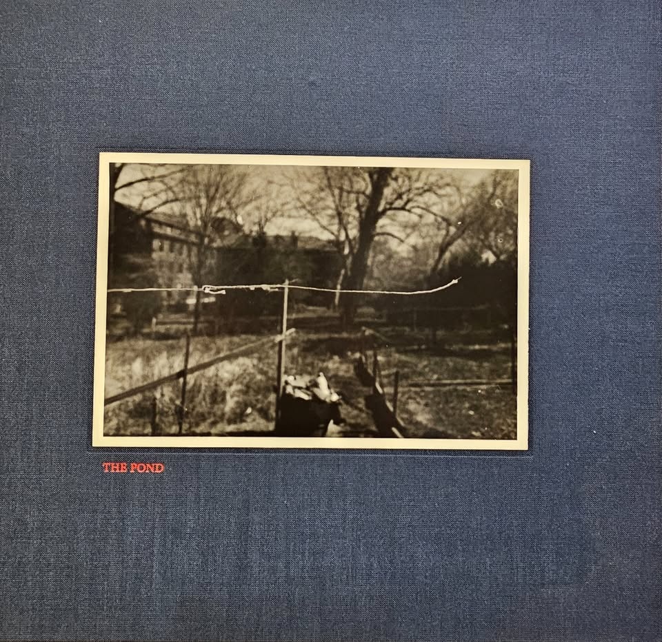 The Pond by John Gossage - photo 3
