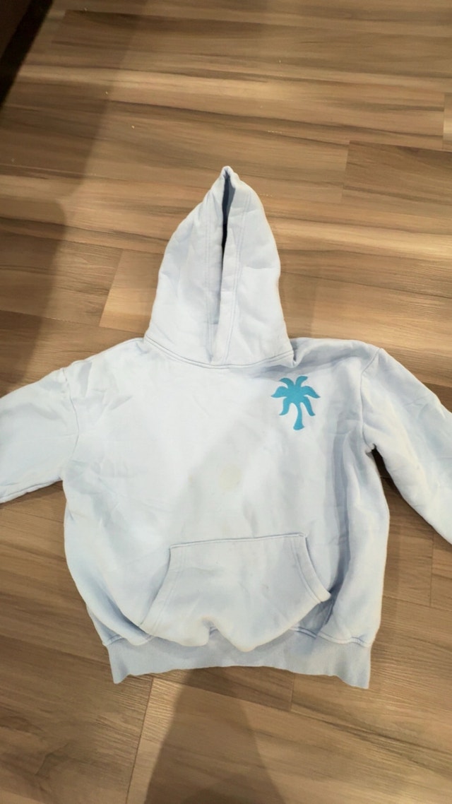 Pink Palm Puff "Everything Comes in Waves" Hoodie - Blue, XS