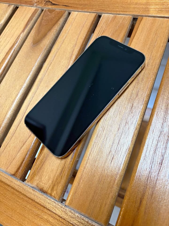 Apple iPhone 12 Pro 512GB w/ Case & Charger
