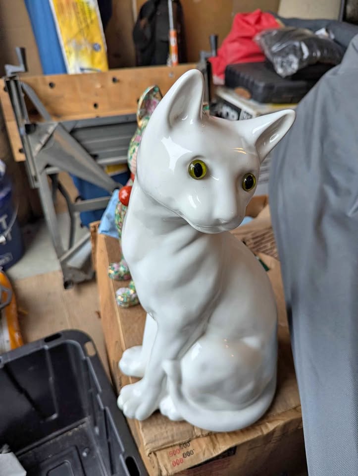 Porcelain white Cat