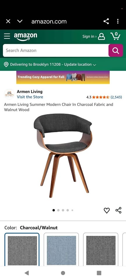 Armen Living Charcoal Chair