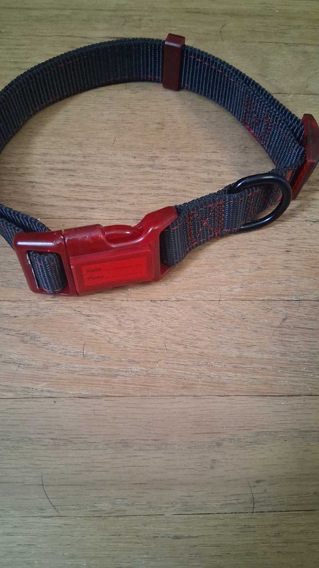 Reflective Dog Collar - Size Large