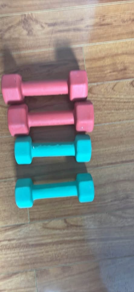 Pink and Teal Dumbbells