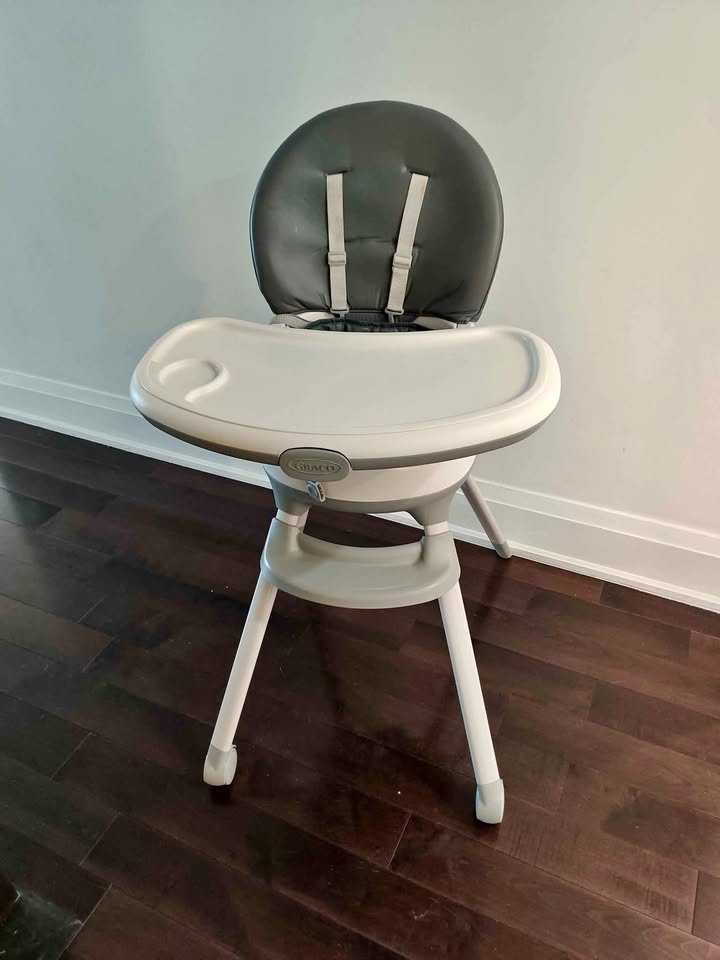 Graco Floor2Table High Chair For Babies